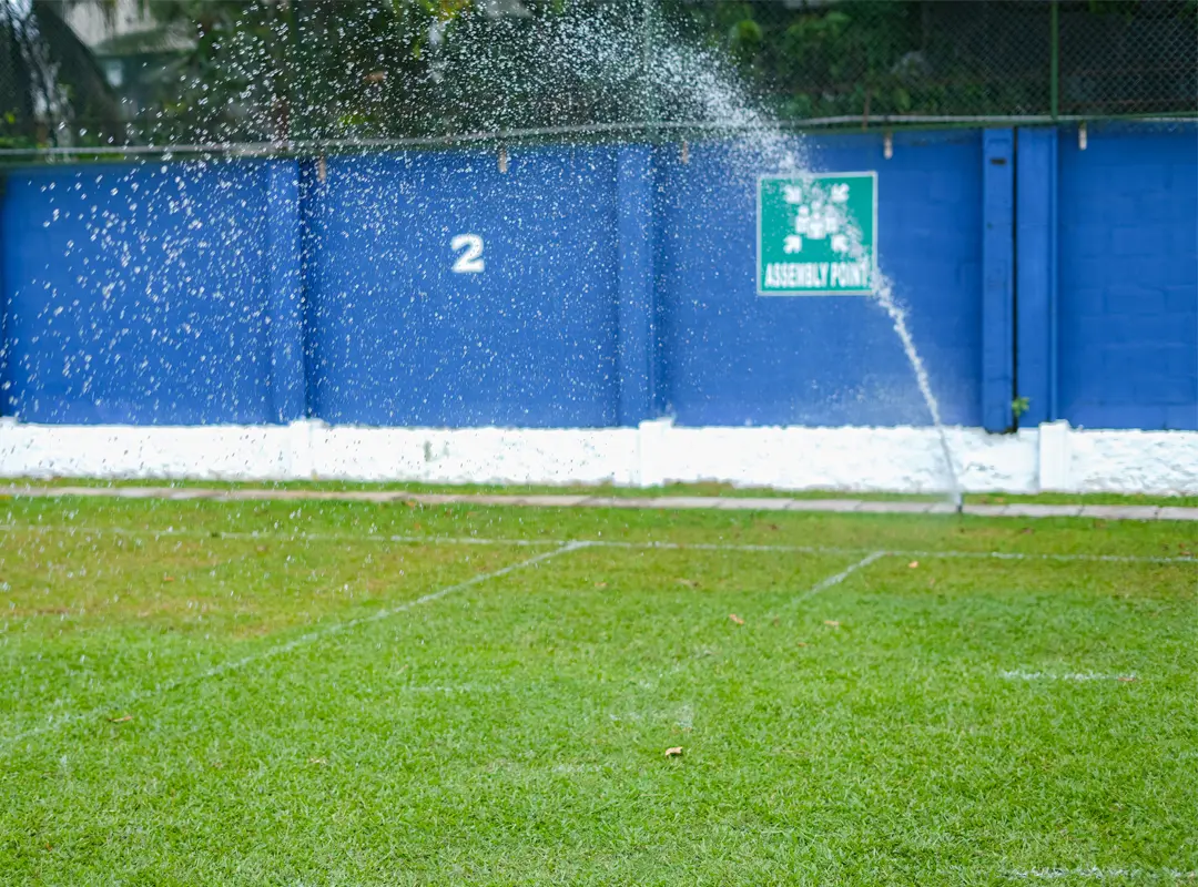 Image of Automatic Sprinkler System